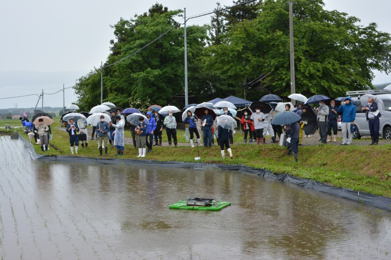 みどり交付金を活用した有機栽培　秋田県とにかほ市が実証試験　アイガモロボ等導入 井関、オーレックらが実演